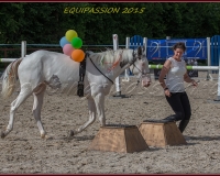 1-13JUIN 1225